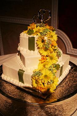 Cake 1