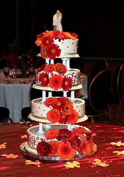 Cake 11