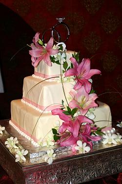 Cake 20