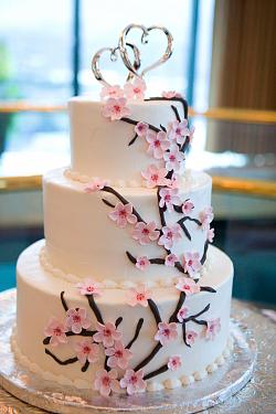 Cake 55
