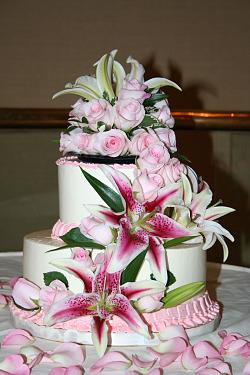Cake 73