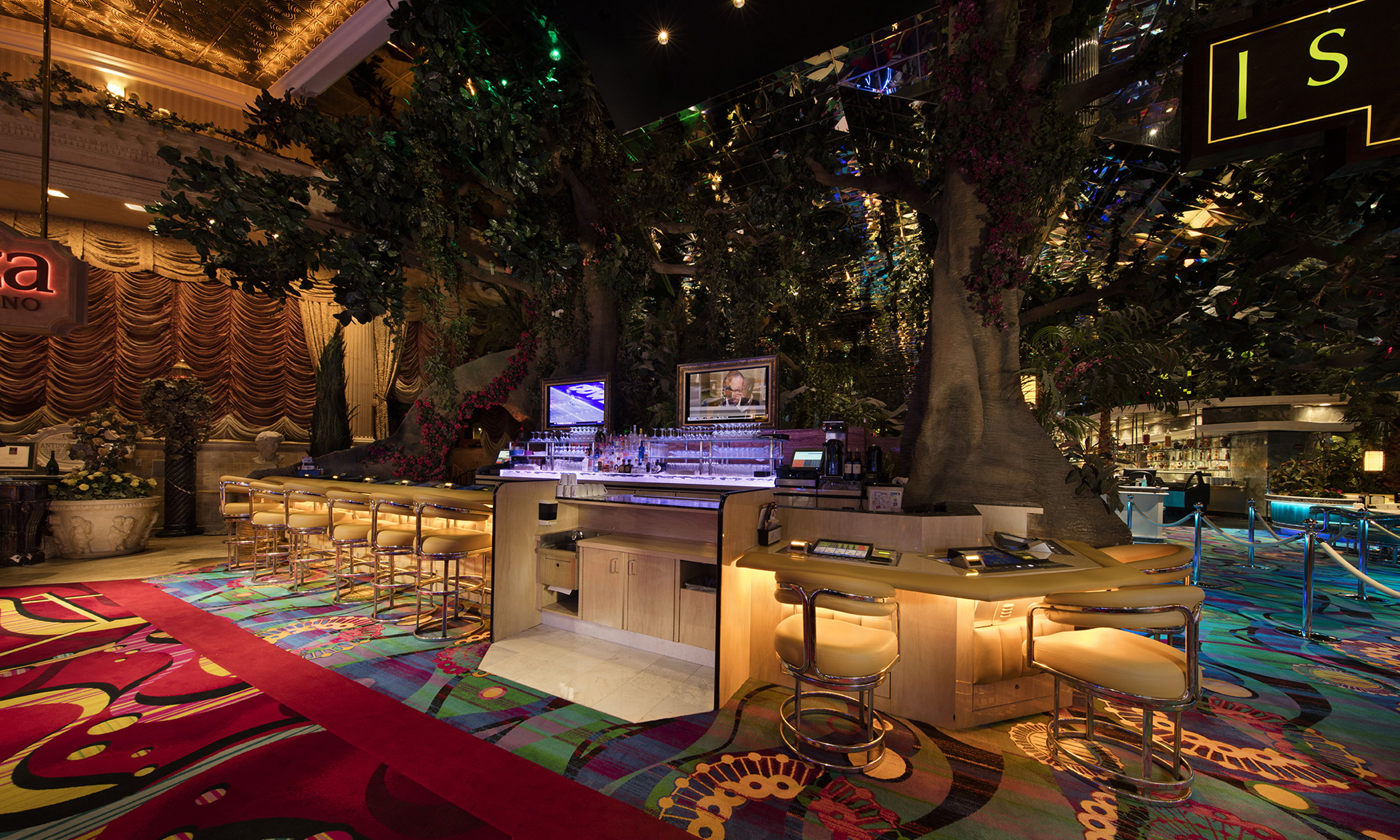Banyan Bar Refuge - i9mufy9