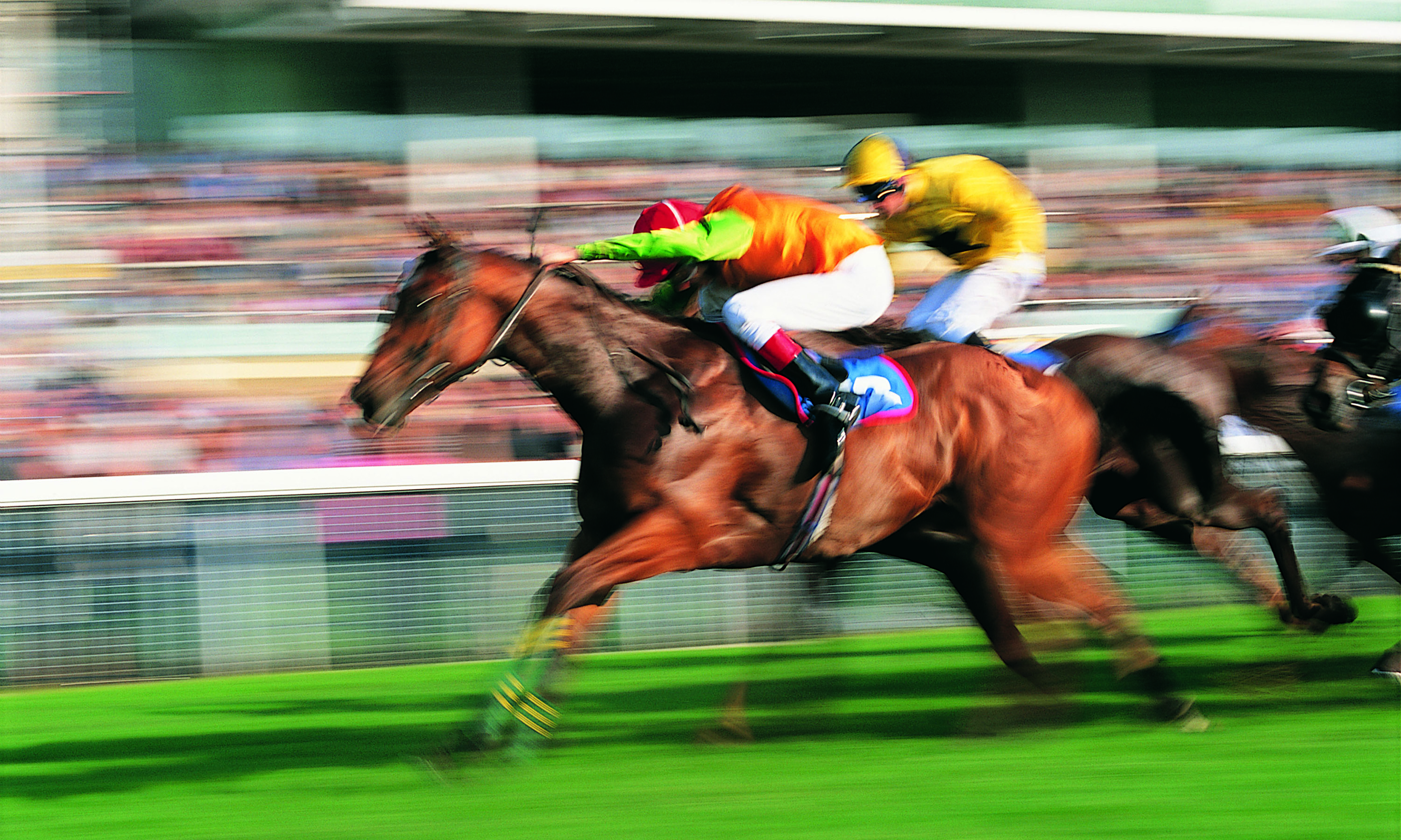 Sports Calendar Peppermill Casino Race and Sports Book