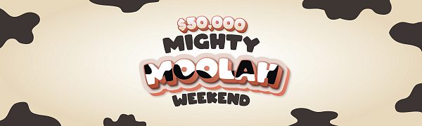 Flight banner